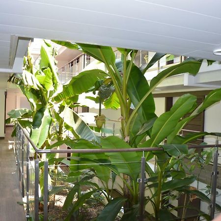 Studio Zenazur Apartment Antibes Luaran gambar